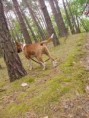 /album/fotogaleria-fotogaleria/dddd-jpg/