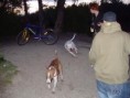 /album/fotogaleria-fotogaleria1/e-jpg/
